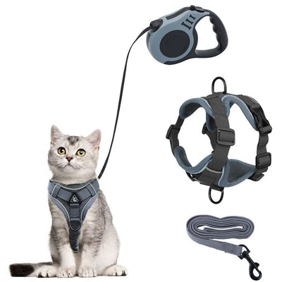 PREMIUM PET LEASHES
